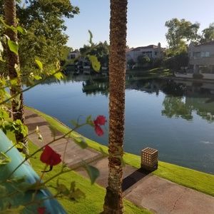 Meet your Posher, Zoeanne